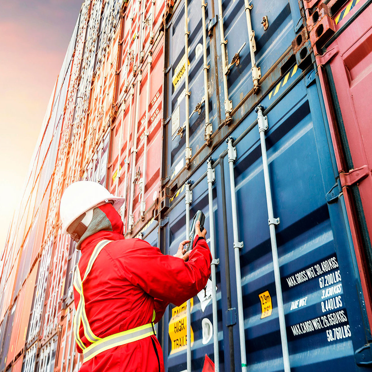 Mavie Logistic Cargo | Operador de Comercio Exterior